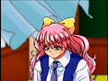 櫻の社 Vol.1
